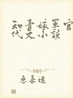 知青嫁军官的年代文小说