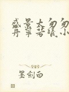 盛景太匆匆沈砚舟宁若曦小说封面