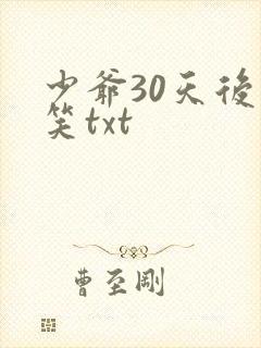 少爷30天后会笑txt