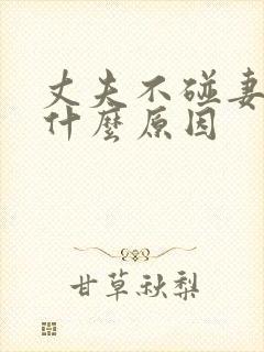 丈夫不碰妻子是什么原因