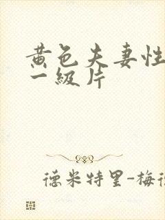 黄色夫妻性生活一级片