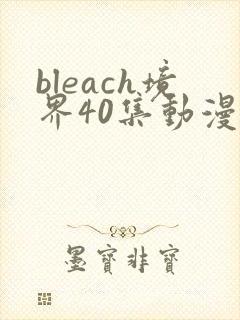 bleach境界40集动漫免费看全集