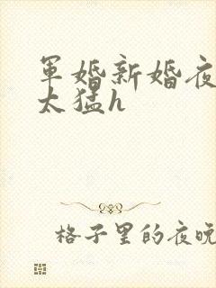 军婚新婚夜圆房太猛h