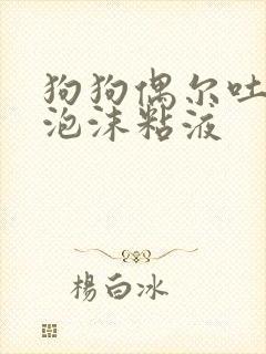 狗狗偶尔吐白色泡沫粘液