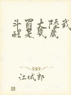 斗罗大陆武魂觉醒是几岁封面