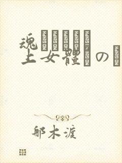 魂インサート 上女体へのファーストコン封面