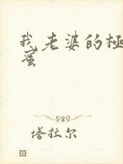 我老婆的极品闺蜜