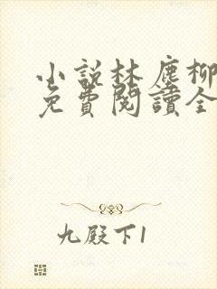 小说林尘柳如烟免费阅读全文