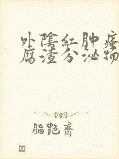 外阴红肿瘙痒豆腐渣分泌物