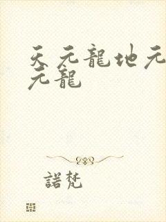 天元龙地元龙人元龙封面