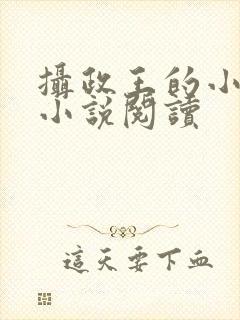 摄政王的小闲妻小说阅读