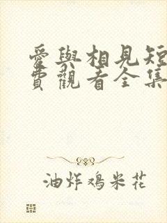 爱与相见短剧免费观看全集在线