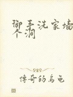 御手洗家墙上有个洞