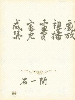 成家电视剧40集免费播放最新章节