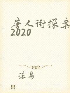 唐人街探案网剧2020