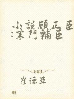 小说顾正臣大明:寒门辅臣