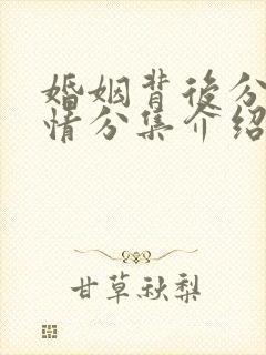 婚姻背后分集剧情分集介绍