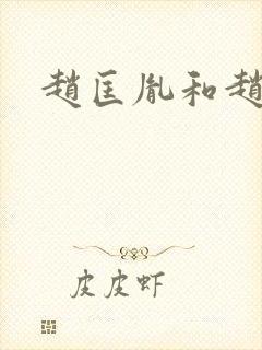 赵匡胤和赵匡义