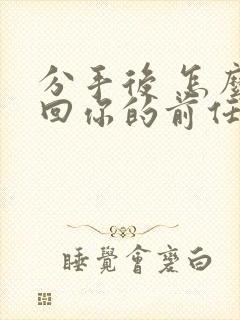 分手后 怎么挽回你的前任封面