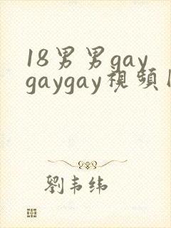 18男男gaygaygay视频网站封面