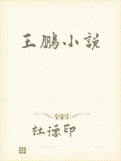 王鹏小说