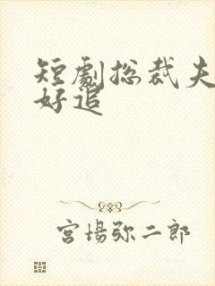 短剧总裁夫人不好追