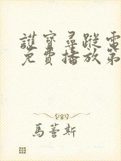 护宝寻踪电视剧免费播放第9集封面