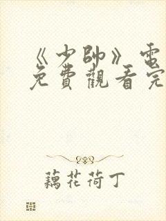 《少帅》电视剧免费观看完整版