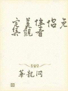 完美伴侣免费全集观看