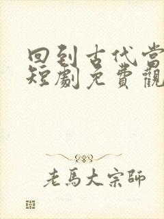 回到古代当赘婿短剧免费观看