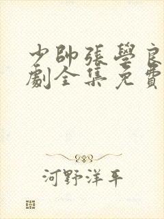 少帅张学良电视剧全集免费观看90封面