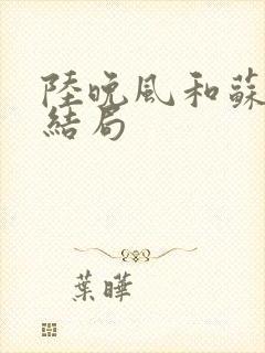 陆晚风和苏文的结局