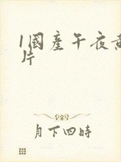 1国产午夜黄色片