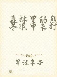 森林里的熊先生冬眠中未打码