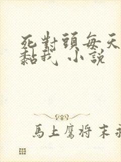 死对头每天都在黏我 小说