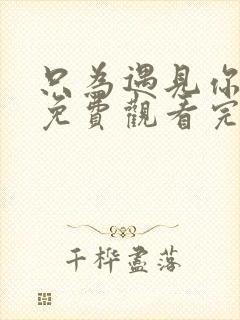 只为遇见你全集免费观看完整版