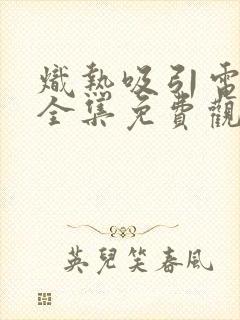 炽热吸引电视剧全集免费观看17集