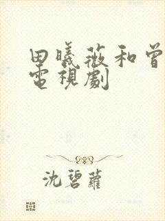 田曦薇和曾舜的电视剧