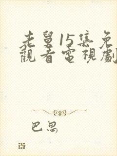 老舅15集免费观看电视剧