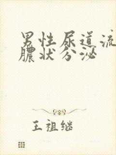 男性尿道流出黄脓状分泌