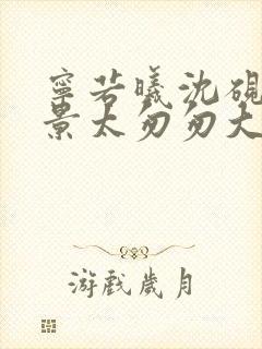 宁若曦沈砚舟盛景太匆匆大结局哪里看封面