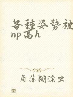 各种姿势被学长np高h