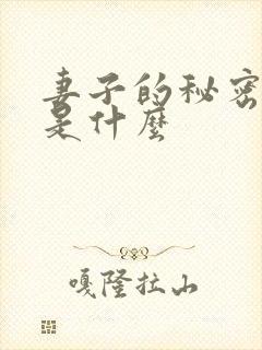 妻子的秘密结局是什么