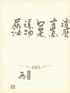 尿道口有透明分泌物是怎么回事