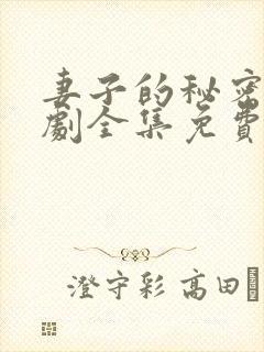 妻子的秘密电视剧全集免费观看完整版