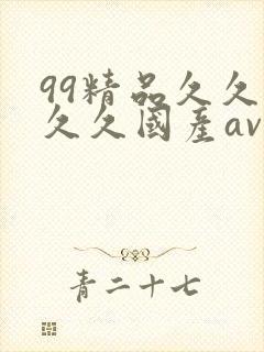 99精品久久久久久国产av