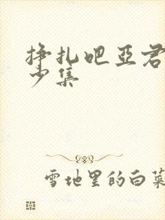 挣扎吧亚君有多少集