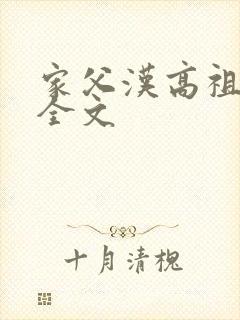家父汉高祖下载全文