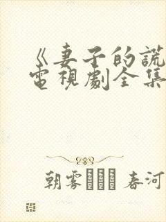 《妻子的谎言》电视剧全集免费观看