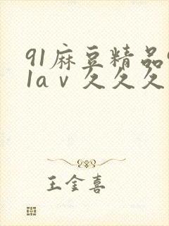 91麻豆精品91aⅴ久久久久久